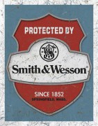 smith-and-wesson protected